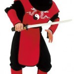 Wojownik Ninja